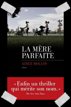 Affaire n°417: mère parfaite