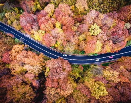 Les meilleures villes à visiter en Novembre Meilleures villes: Départ