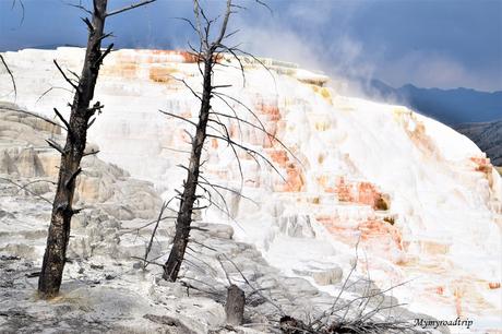 Itinéraire pour découvrir le parc national de Yellowstone en 4 jours