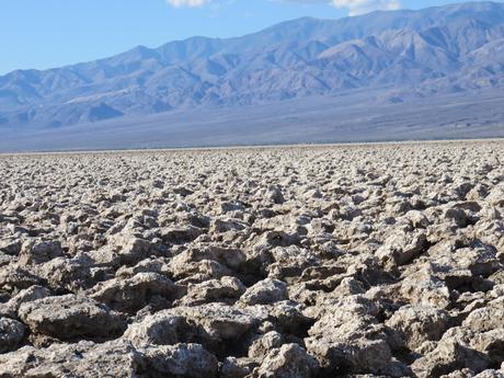 Back from USA 1° Back from USA 1°