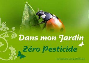 Les pesticides enfin interdits dans les jardins ! Les pesticides enfin interdits dans les jardins !