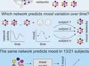 #Cell #humeur #amygdala #hippocampe #réseau sous-réseau Amygdala-Hppocampe code pour variations d’humeur chez l’homme