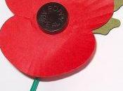 bleuet coquelicot souvenir