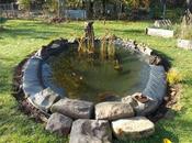 L'aménagement mare abords continue