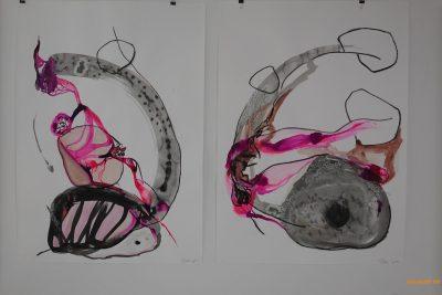 Baie des Trépassés – Isola Rossa au Séchoir