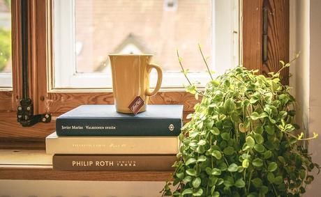 de la lumière pour les plantes d'intérieur