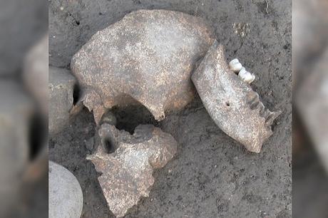 Des têtes embaumées, âgées de 2 000 ans, montrent comment les anciens celtes célébraient leur victoire