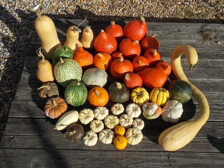 Calendrier lunaire Novembre Décembre 2018 Calendrier lunaire Novembre Décembre 2018