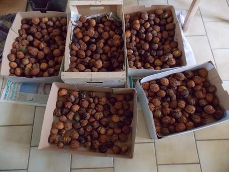 Calendrier lunaire Novembre Décembre 2018 Calendrier lunaire Novembre Décembre 2018