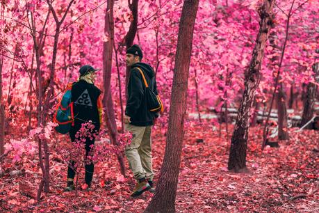 Le nouveau drop ACG Fall Winter 2018 arrive vendredi Le nouveau drop ACG Fall Winter 2018 arrive vendredi