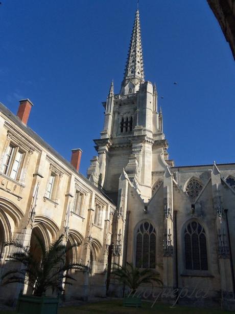 La France- La Cathédrale de Luçon