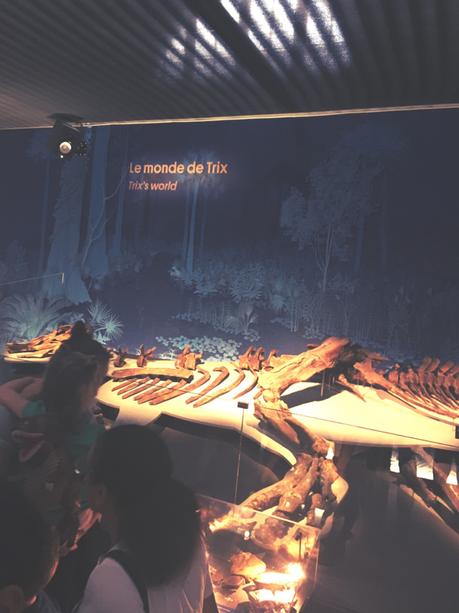 Un T-Rex à Paris, l’Expo épatante ! C’était comment, alors ?