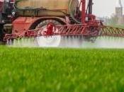 Glyphosate Commission européenne interdit l'interdire