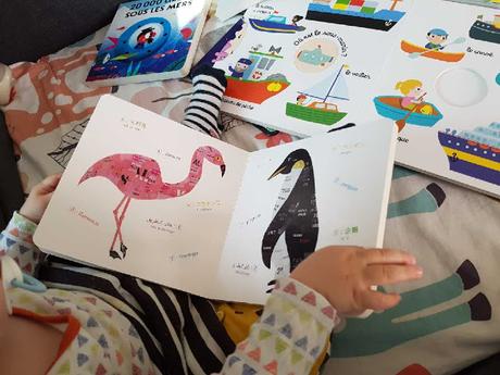 ANIMAUX - collages de Motomitsu Maehara