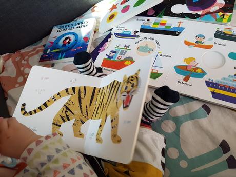 ANIMAUX - collages de Motomitsu Maehara