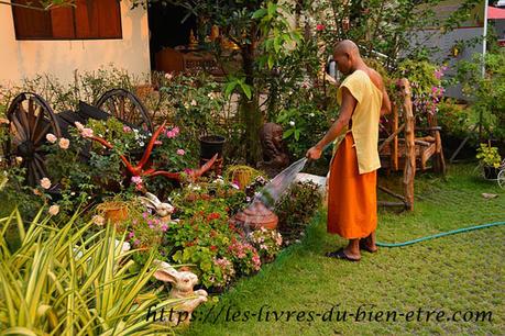 Mes 3 habitudes pour rester zen au quotidien. Mes 3 habitudes pour rester zen au quotidien.