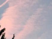 Brèves plaisanterie, Denis Donikian (novembre 2018)