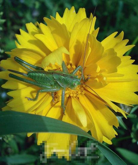 Mes critiques constructives sur vos photos de concours