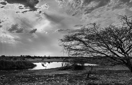 Mes critiques constructives sur vos photos de concours