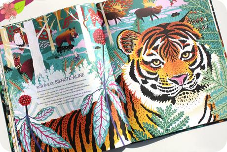 Des animaux camouflés à trouver