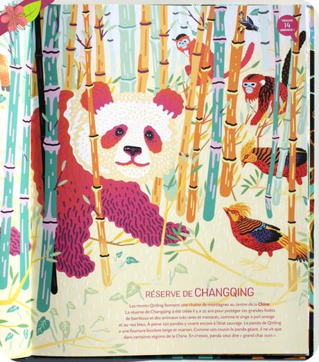 Des animaux camouflés à trouver