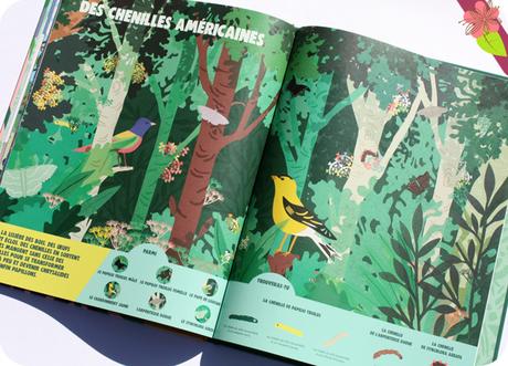 Des animaux camouflés à trouver