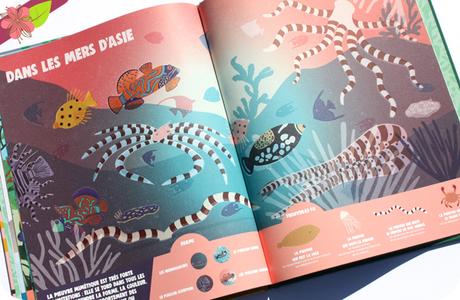 Des animaux camouflés à trouver