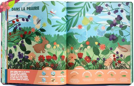 Des animaux camouflés à trouver