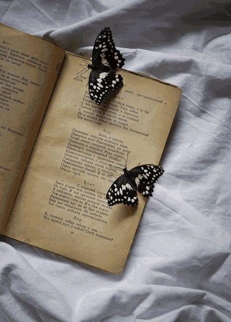Gif, vieux livre et papillons