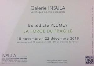 Galerie INSULA  exposition Bénédicte Plumey  » La force du fragile » 15/11 au 22/12/2018