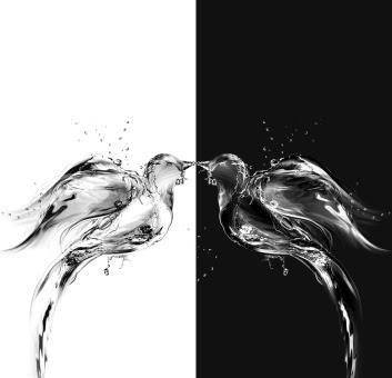 Qu'y a-t-il au-delà du Soi ?