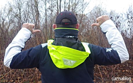 Gilets jaunes, silure et aspes Gilets jaunes, silure et aspes