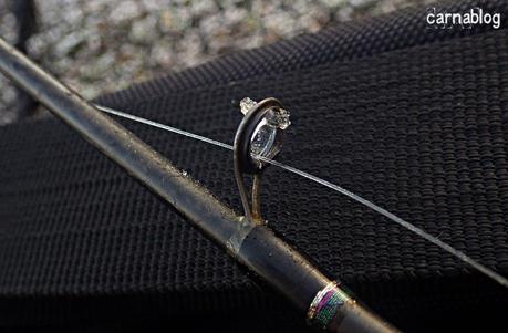 Gilets jaunes, silure et aspes Gilets jaunes, silure et aspes