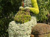 Pays Etranger Canada Gatineau….2