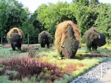 Pays Etranger - Canada - Gatineau….2