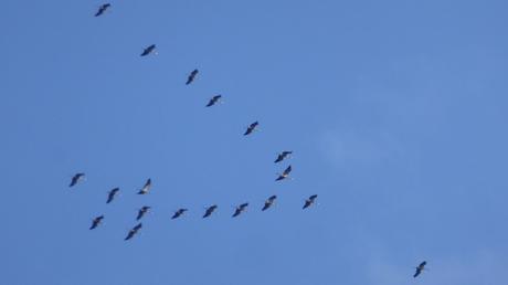 Toutes les indices concordent Toutes les indices concordent