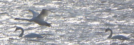 Toutes les indices concordent Toutes les indices concordent