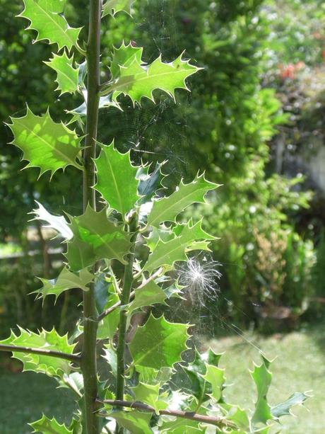 La France - Une Balade dans le Valromey 