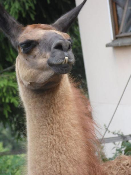 La France - Une Balade dans le Valromey 