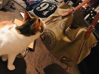 Lectrice équipée : mes accessoires préférés !