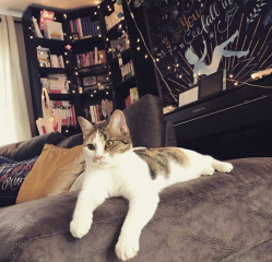 Capture d_écran 2018-11-19 à 17.23.06