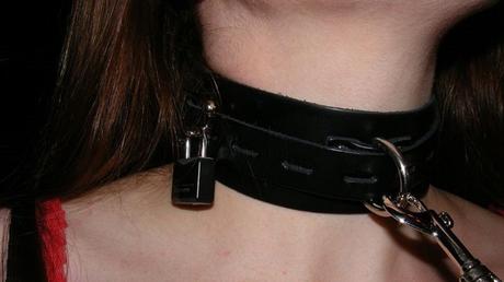 Le Village d'Astérix