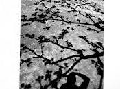 L’attente téméraire livre photo-poétique Phil Deken Elio Pecora