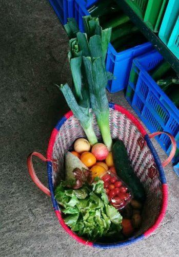 État de siège à La Réunion et solitude forcée