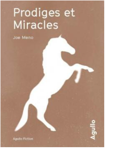 Prodiges et miracles · Les Quiquoi et une graine