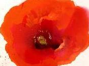 amont ,Alain Bashung