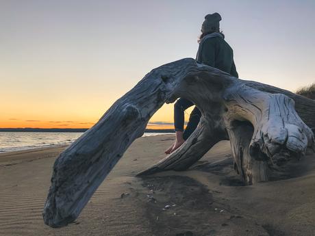 QUÉBEC | Une nuit dans un nichoir géant sur la Côte-Nord