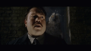 Les Animaux fantastiques : Les Crimes de Grindelwald