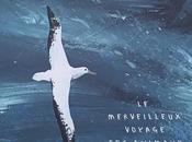 MIGRATION merveilleux voyage animaux Mike Unwin Jenni Desmond