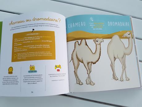 Un petit dessin pour ne plus prendre un dromadaire pour un chameau - Un petit dessin vaut mieux qu'une grande leçon de Sandrine Campese